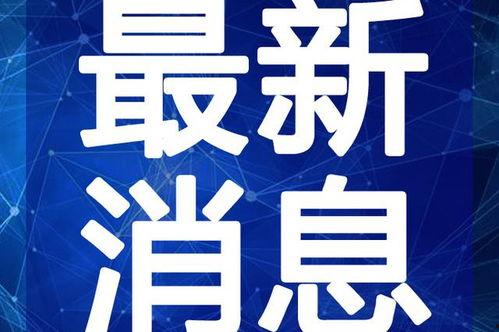 天龙主播爆料视频大全最新,揭秘视频大全背后的精彩瞬间