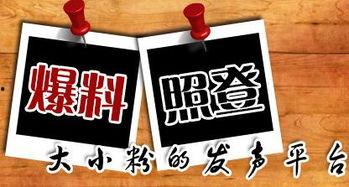 重庆微头条最新爆料,揭秘XX事件背后真相！