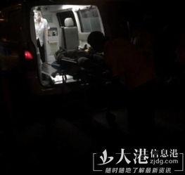 新城最新爆料事件视频播放,事件视频播放引发热议，真相究竟如何？